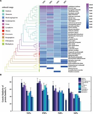 Highly Conserved Evolution of Aquaporin PIPs and TIPs Confers Their Crucial Contribution to Flowering Process in Plants